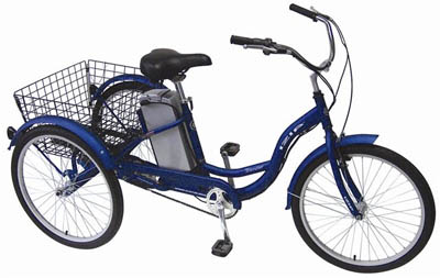  Electric Bike on Izip Currie Electric Bikes